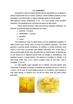 Referāts 'Pārtikas piedevas un uztura bagātinātāji', 7.