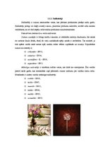 Referāts 'Pārtikas piedevas un uztura bagātinātāji', 8.