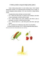 Referāts 'Pārtikas piedevas un uztura bagātinātāji', 10.