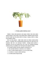 Referāts 'Pārtikas piedevas un uztura bagātinātāji', 12.