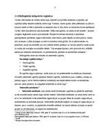 Referāts 'Mūžizglītība', 6.