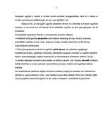 Referāts 'Mūžizglītība', 8.