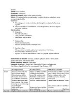 Konspekts 'Trīs intergrēti priekšmeti: dabas zinības, sociālās zinības. Dominante - matemāt', 1.