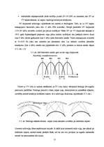 Diplomdarbs 'DRM uztvērēji', 12.