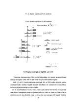 Diplomdarbs 'DRM uztvērēji', 29.