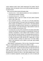 Diplomdarbs 'DRM uztvērēji', 32.