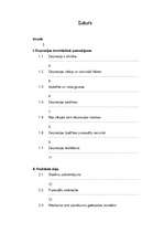 Referāts 'Depresija pusaudžu vecumā', 1.