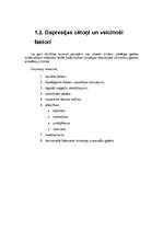 Referāts 'Depresija pusaudžu vecumā', 6.