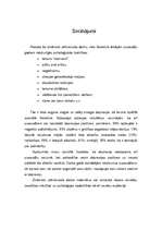 Referāts 'Depresija pusaudžu vecumā', 23.