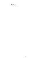 Prakses atskaite 'Prakses atskaite un prezentācija', 31.