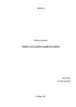 Referāts 'Apģērbs dažādiem sarīkojumiem', 1.