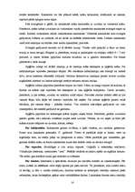 Referāts 'Apģērbs dažādiem sarīkojumiem', 14.