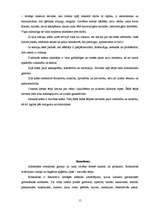 Referāts 'Apģērbs dažādiem sarīkojumiem', 15.