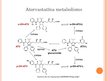 Prezentācija 'Atorvastatīna metabolisms', 7.