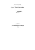 Eseja 'Komunikācijas nozīme indivīda, organizācijas un sabiedrības dzīvē', 1.