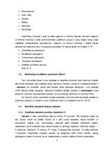 Referāts 'Naktsmītnes, to veidi un funkcijas Pārdaugavā', 5.