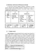 Referāts 'Naktsmītnes, to veidi un funkcijas Pārdaugavā', 10.