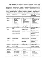 Referāts 'Naktsmītnes, to veidi un funkcijas Pārdaugavā', 12.