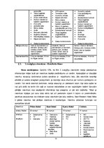 Referāts 'Naktsmītnes, to veidi un funkcijas Pārdaugavā', 13.