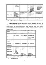 Referāts 'Naktsmītnes, to veidi un funkcijas Pārdaugavā', 17.