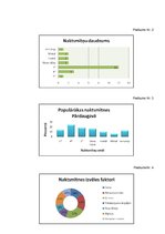 Referāts 'Naktsmītnes, to veidi un funkcijas Pārdaugavā', 29.