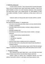 Referāts 'A/S "Baltic International Bank" pakalpojumu un sortimenta analīze', 4.