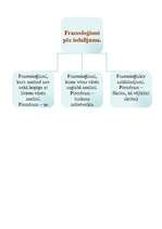 Konspekts 'Īpatnēji vārdi un frazeoloģismi V.Belševicas romānā "Bille"', 3.