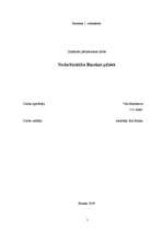 Referāts 'Nodarbinātība Bauskas pilsētā', 1.