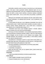 Referāts 'Nodarbinātība Bauskas pilsētā', 3.