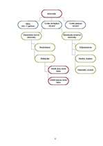 Referāts 'Nodarbinātība Bauskas pilsētā', 6.