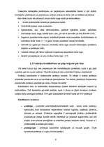 Referāts 'Nodarbinātība Bauskas pilsētā', 9.