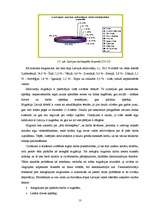 Referāts 'Nodarbinātība Bauskas pilsētā', 13.