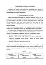 Referāts 'Nodarbinātība Bauskas pilsētā', 16.