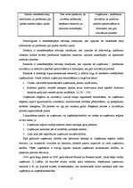 Referāts 'Nodarbinātība Bauskas pilsētā', 17.