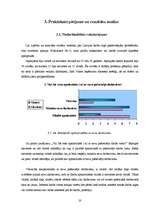 Referāts 'Nodarbinātība Bauskas pilsētā', 20.