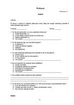 Referāts 'Nodarbinātība Bauskas pilsētā', 31.