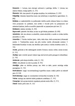 Referāts 'Apģērbu veikalu skatlogi atlaižu laikā', 4.