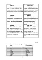 Referāts 'Apģērbu veikalu skatlogi atlaižu laikā', 17.