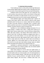 Referāts 'Apģērbu veikalu skatlogi atlaižu laikā', 19.