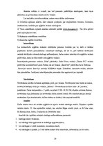 Referāts 'Apģērbu veikalu skatlogi atlaižu laikā', 24.