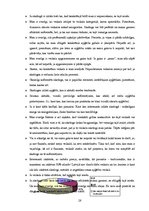 Referāts 'Apģērbu veikalu skatlogi atlaižu laikā', 28.