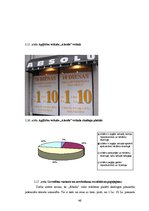 Referāts 'Apģērbu veikalu skatlogi atlaižu laikā', 46.