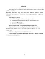 Diplomdarbs 'Sabiedriskās kārtības nodrošināšana, tās tiesiskie un praktiskie aspekti publisk', 3.