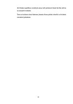 Referāts 'Pašu kapitāla uzskaites kontrole', 14.