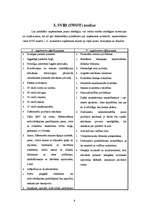 Referāts 'Uzņēmuma stratēģiskais plāns', 8.