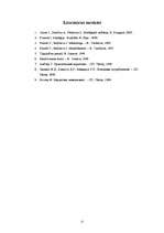 Referāts 'Uzņēmuma stratēģiskais plāns', 12.