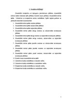 Referāts 'Datormācība (speckurss industriālajā elektronikā)', 5.