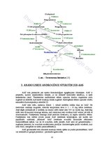 Referāts 'Vīrišķie dzimumhormoni un to sintētiskie analogi kā dopingvielas', 10.