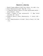 Referāts 'Naudas tirgus analīze', 19.