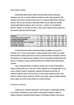 Referāts 'Kursa darbs finanšu analīzē. Tosmares kuģu būvētava', 13.